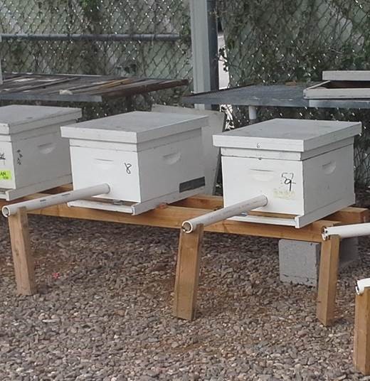 /ARSUserFiles/20220500/Varroa/Current Research/Bee Hive Box with Tube 1.jpg
